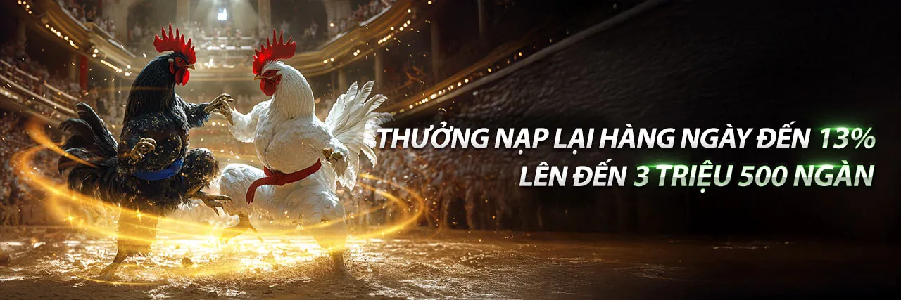 Khuyến mãi độc quyền fiv88 cho thành viên mới